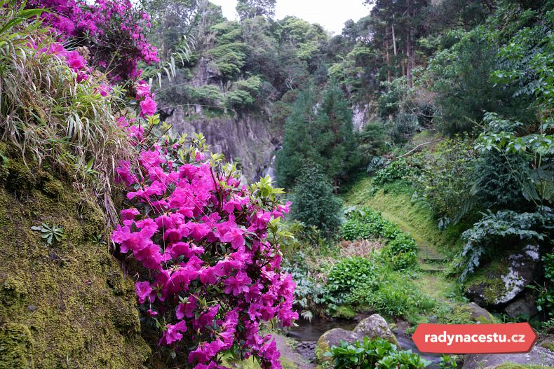 Azory jsou jedna velká botanická zahrada