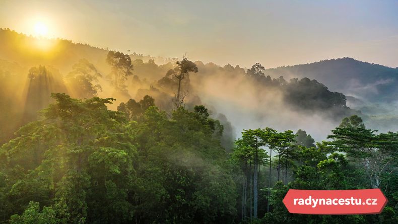 Úchvatný pohled na deštný prales Bornea při východu slunce