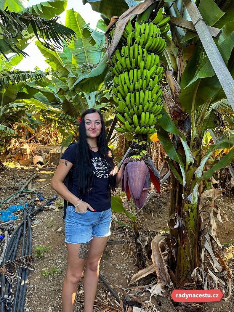 Místní flora byla neskutečně rozmanitá