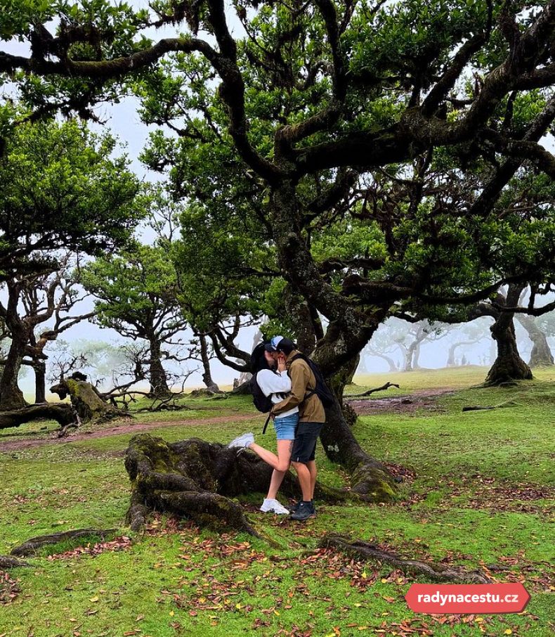 Tajemný les Fanal by si měl zahrát v pohádce