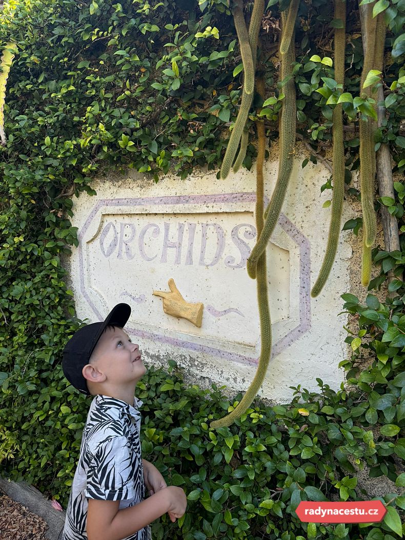 Zahrada orchidejí byla zážitkem i pro našeho Davídka