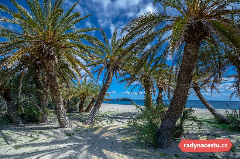 Unikátní palmový háj