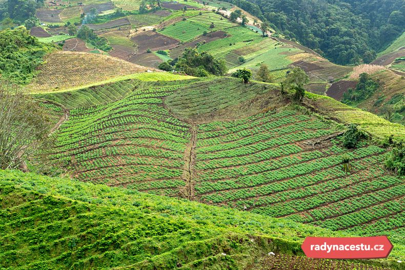 Úchvatné kávové plantáže