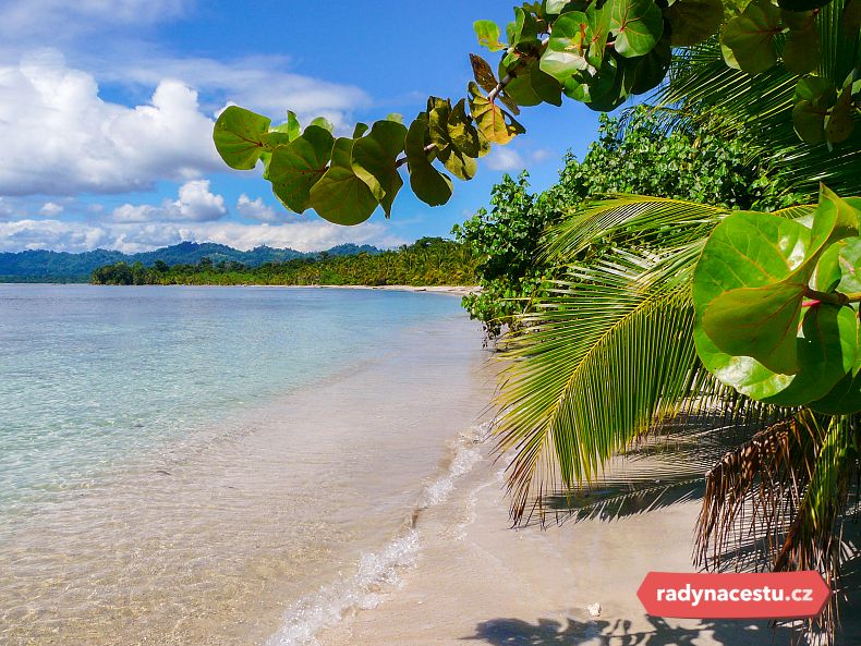 Pláže v NP Cahuita lemují stromy a palmy
