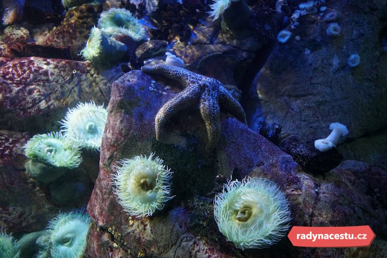 Čeká vás fascinující a taky vcelku terapeutická podíváná