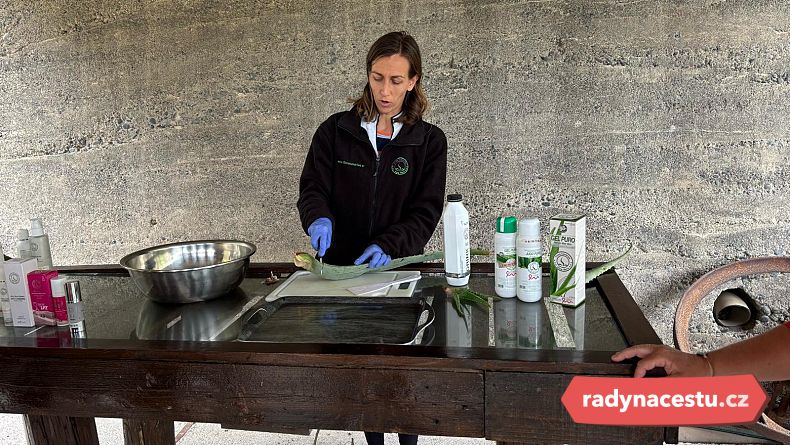 Zpracování aloe vera