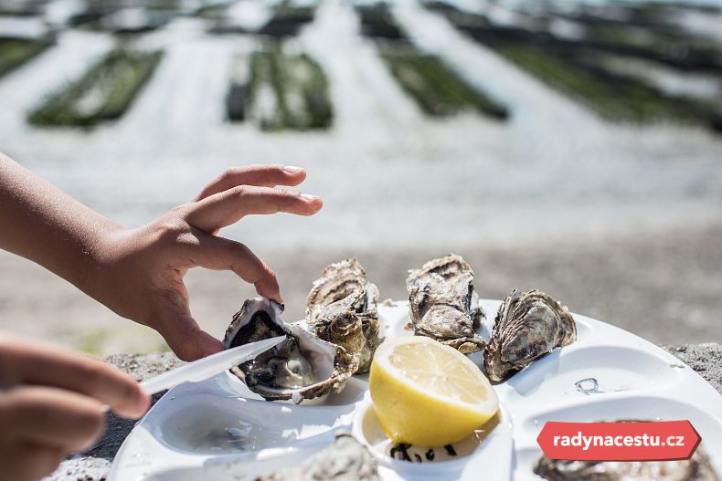 Ochutnávka ústřic přímo na farmě v Cancale