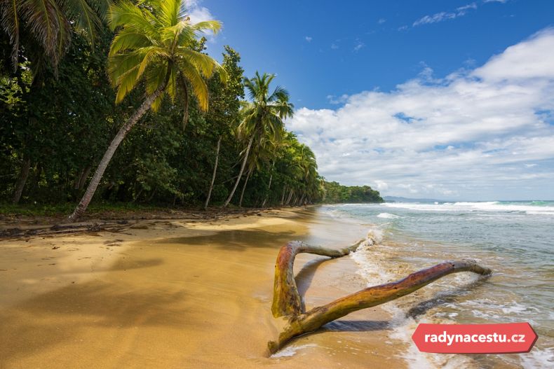 Playa Punta Uva
