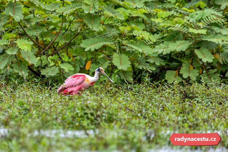 Užijte si spojení s přírodou