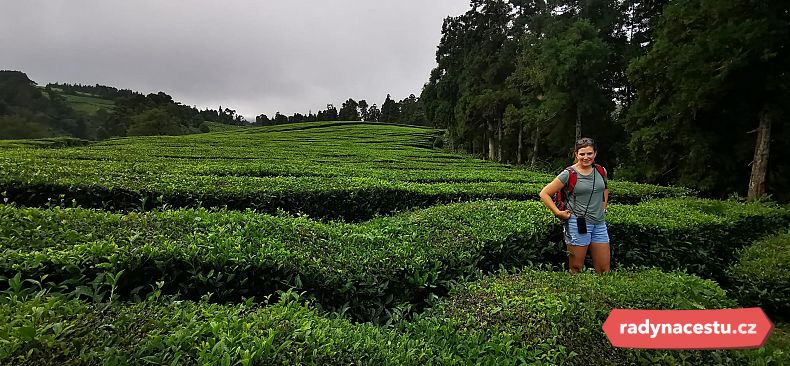 Jediné evropské čajové plantáže
