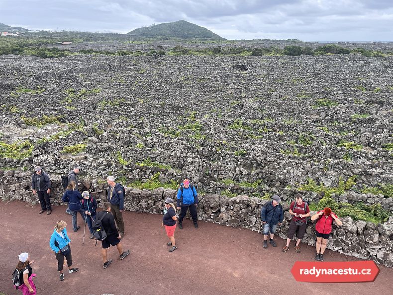 Lávové vinice Crianza Velha