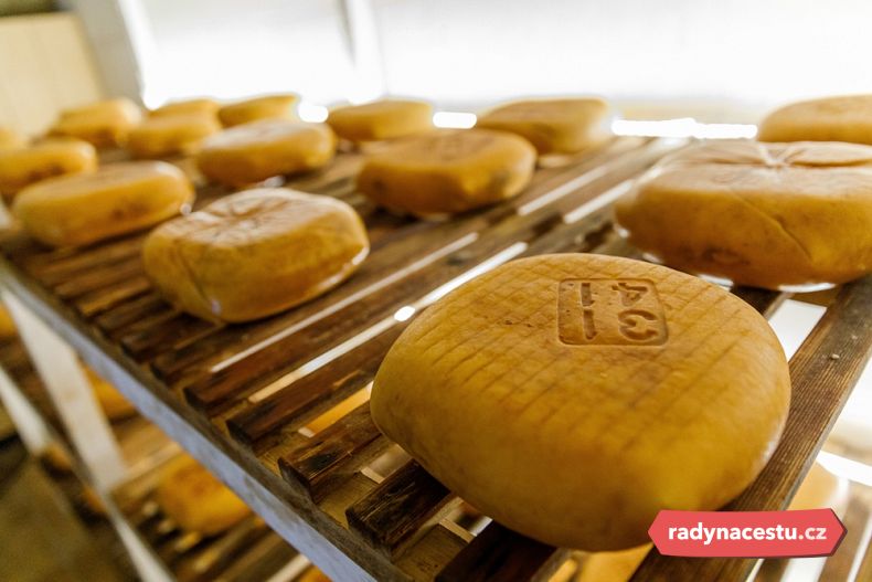 Sýr Mahon během procesu konzervování v Menorce