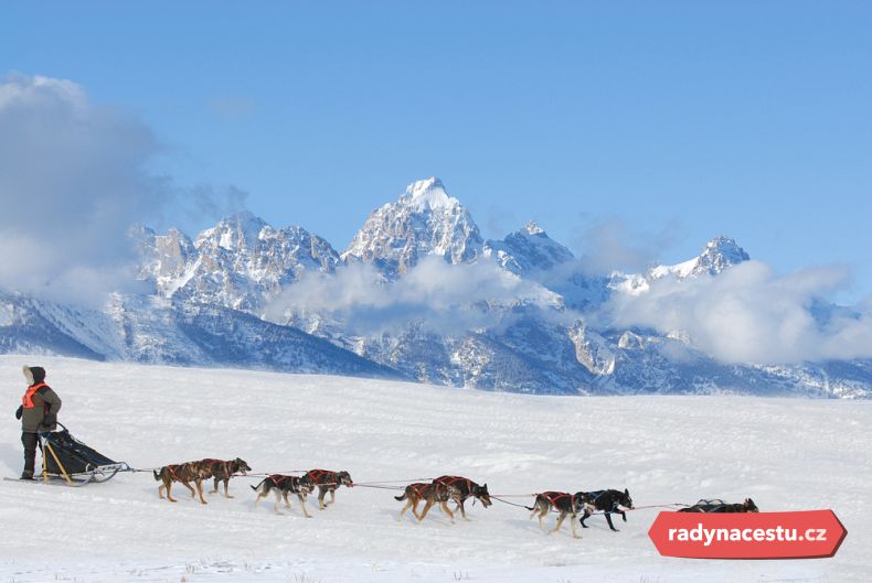 Závody psích spřežení – tradice, rychlost a síla aljašské divočiny