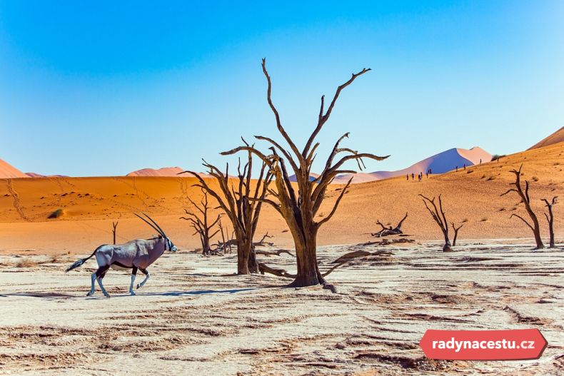 Jílovitá pánev Deadvlei
