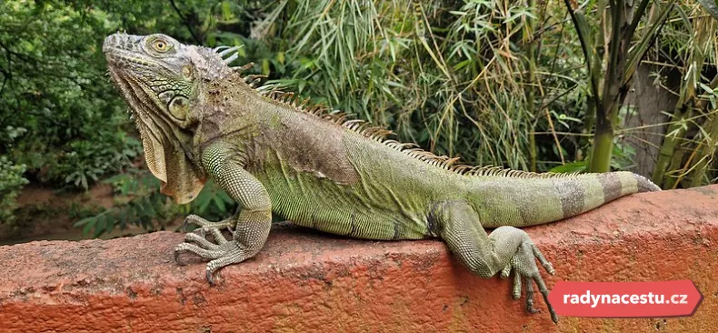 Setkání s "drakem"